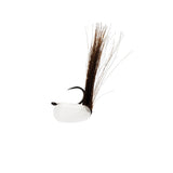 Limet the lure for carp